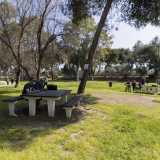 ...costeggiando i tavoli in legno dove i visitatori possono sedersi per leggere, chiacchierare o fare un pic-nic